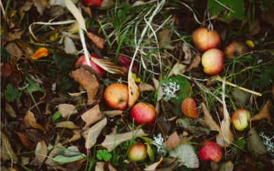 Abril 2026: la ley de desperdicio alimentario ya es obligatoria